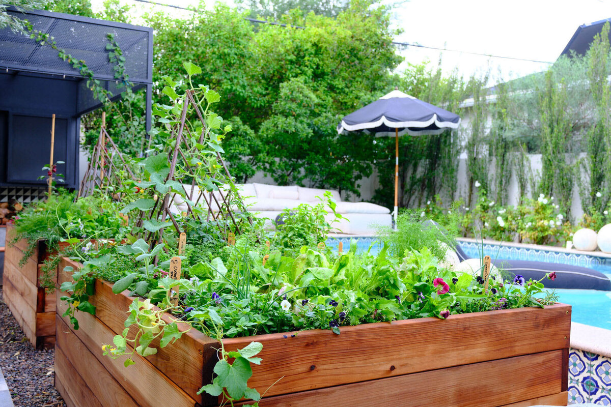 Willows-Garden-Le-Potager13