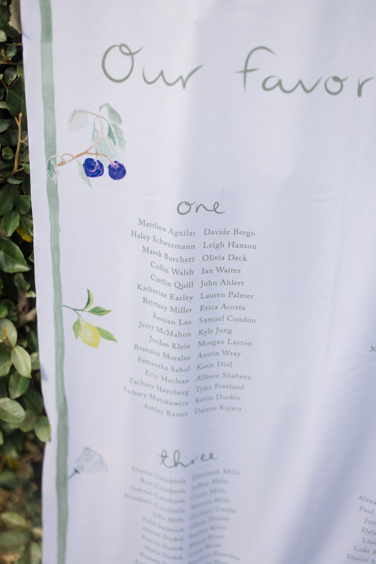 Evelyn+Ross-755