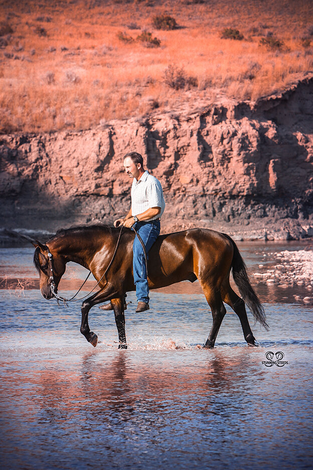 montana western horse photo