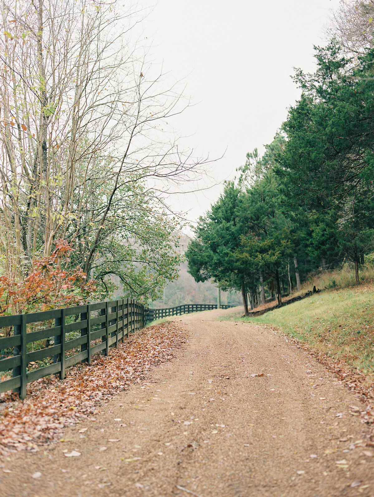 gravel-road-with-black-fence