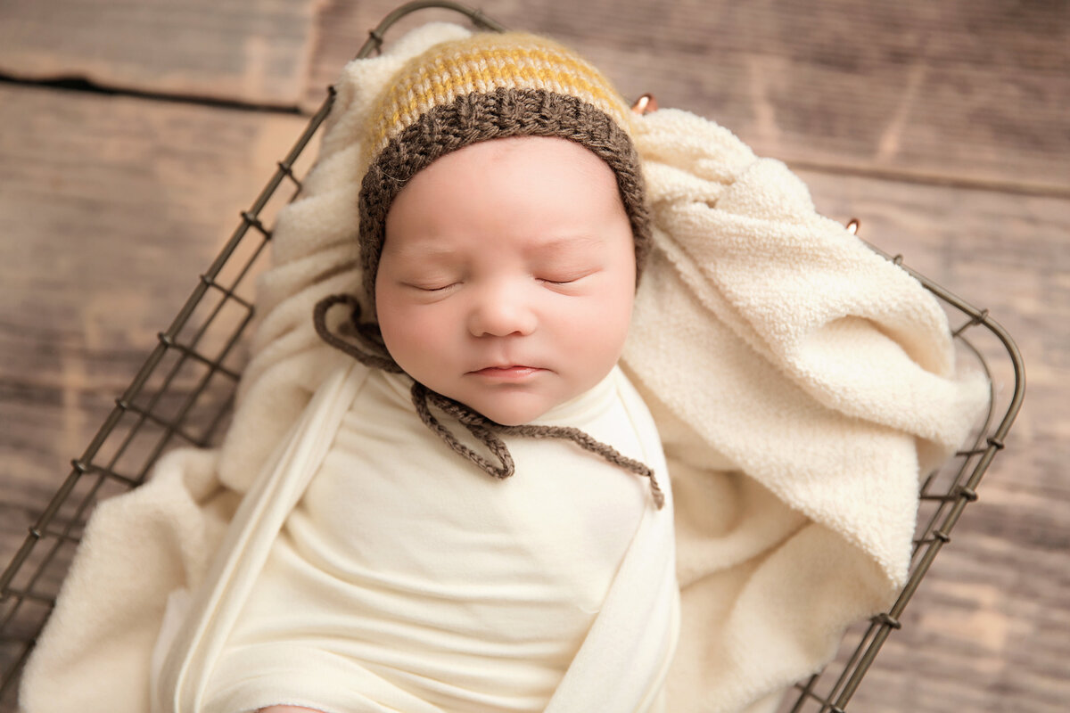brookfield-newborn-photography.