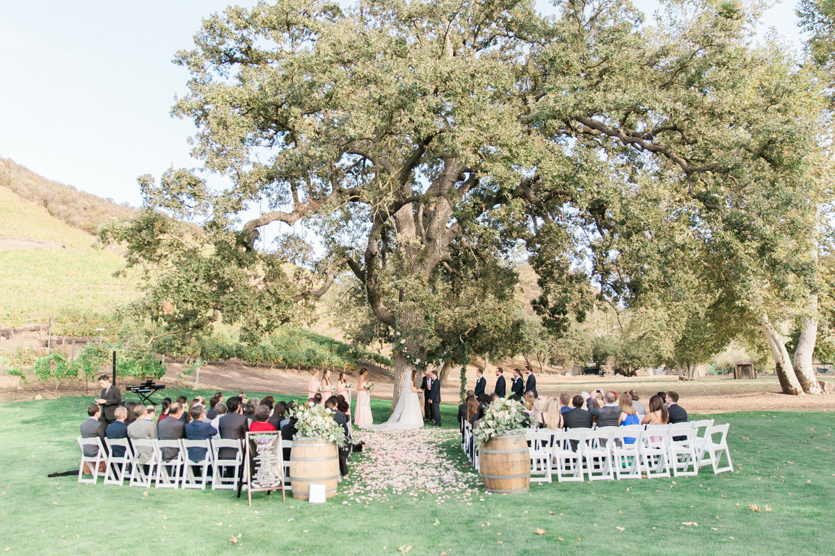 Triunfo Creek Vineyard Wedding-6759