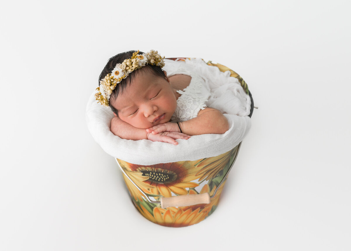 Hobart Baby Photography | Hobart Baby Experts | Local Hobart Knowledge Photographer-8