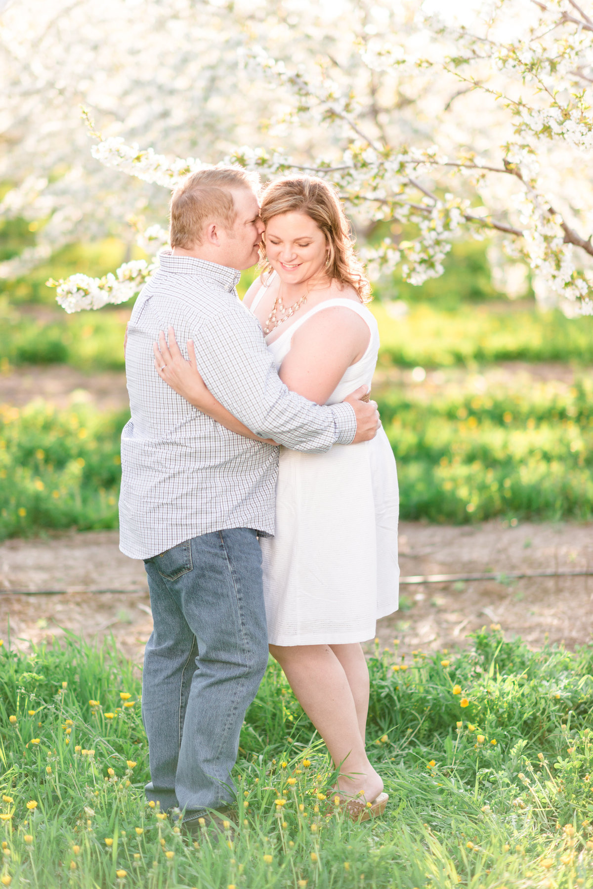 cherry blossom orchard engagement pictures in northern michigan