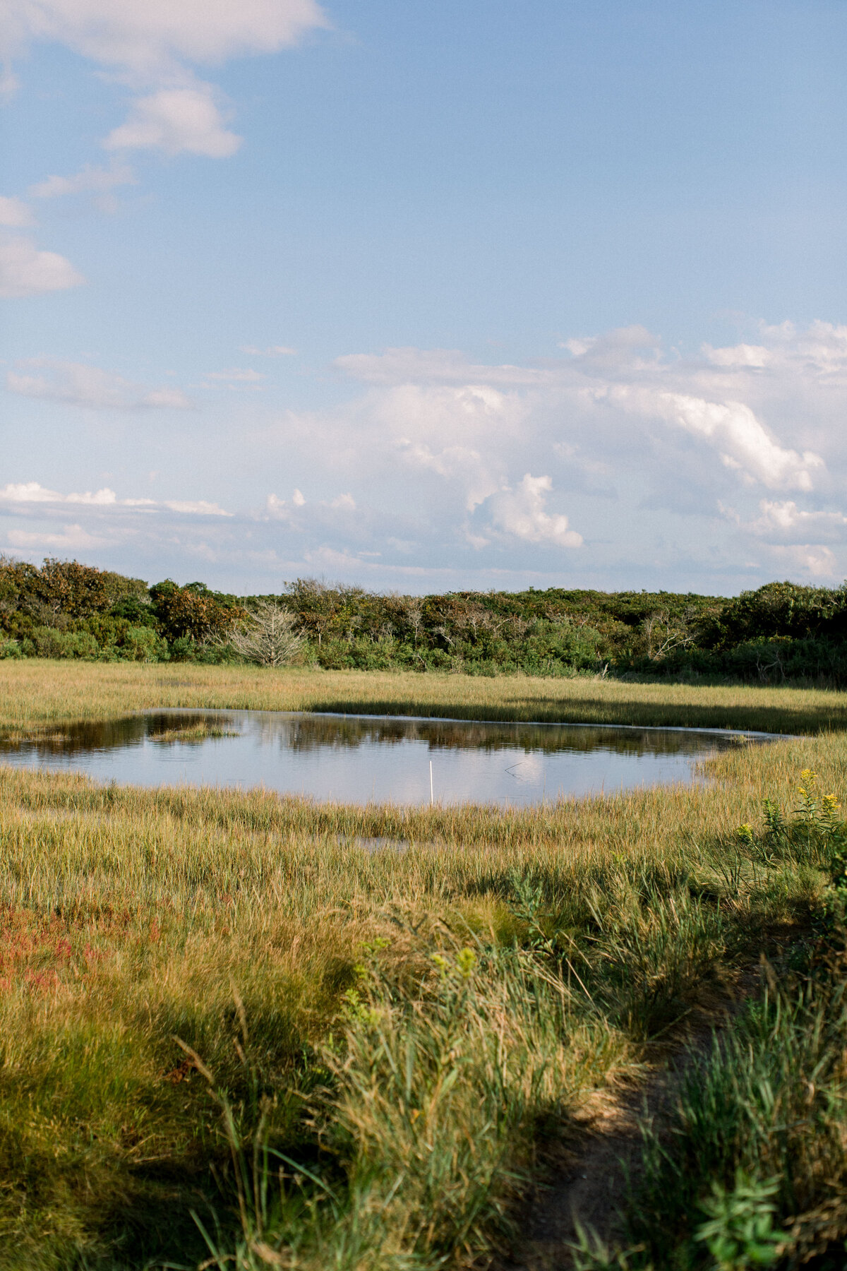 pond with marshes at cape cod