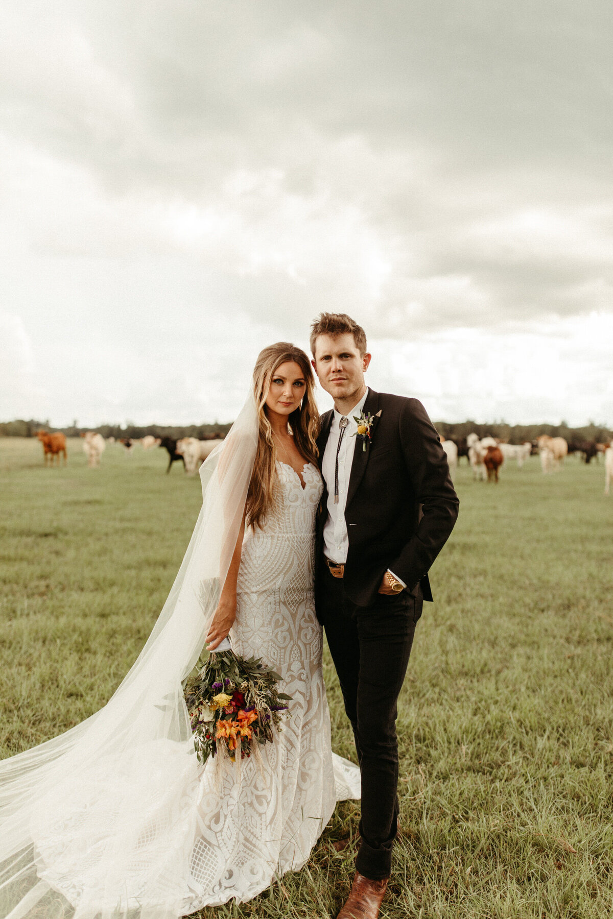 Bride with cathedral veil holding bouquet and standing next to her boho groom with bolo tie and black suit standing in a field with cows behind them