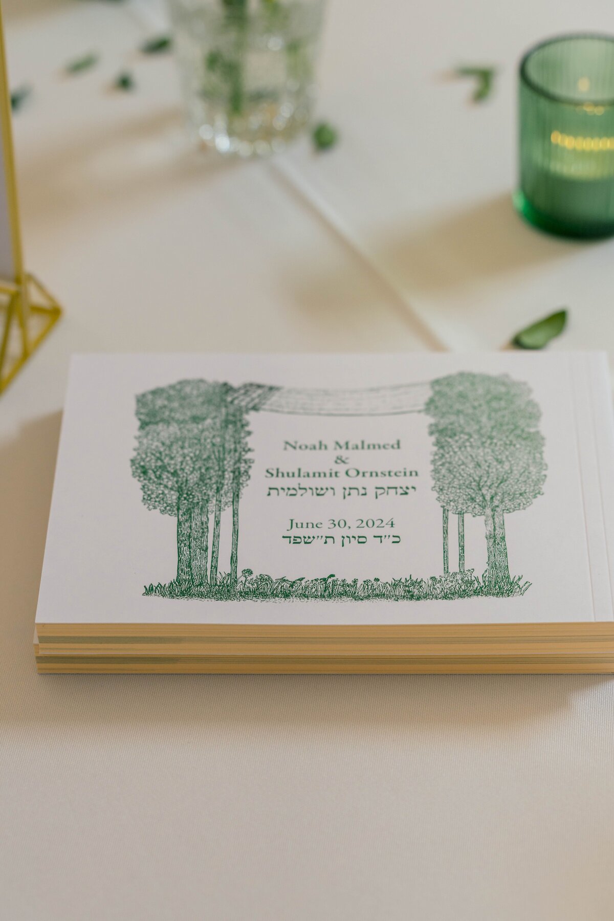 Eliana-Melmed-Photography-Chicago-LosAngeles-Jewish-WeddingPhotography-ShulaNoah-Details-00005