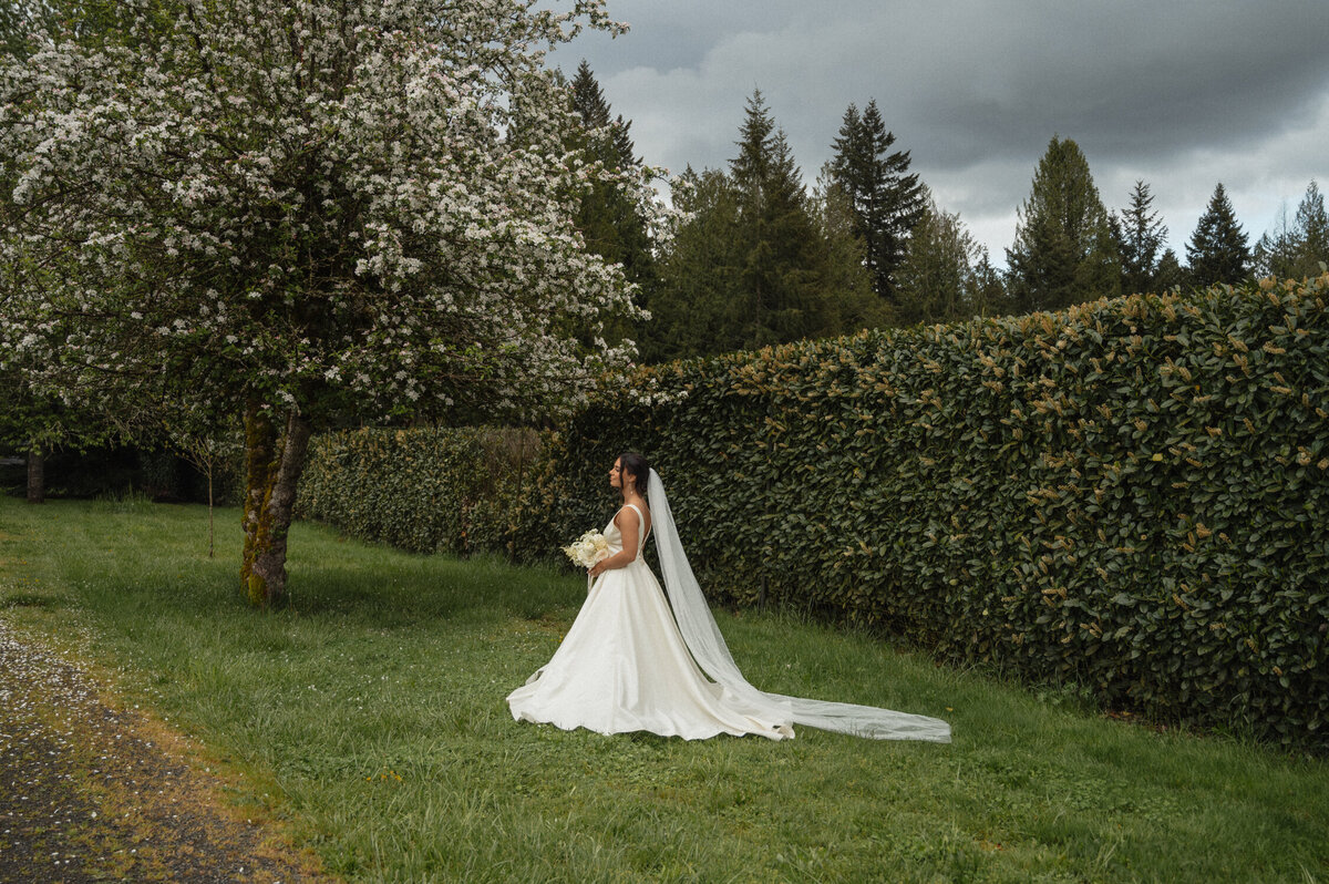 Oregon-Vineyard-editorial-bridals-289