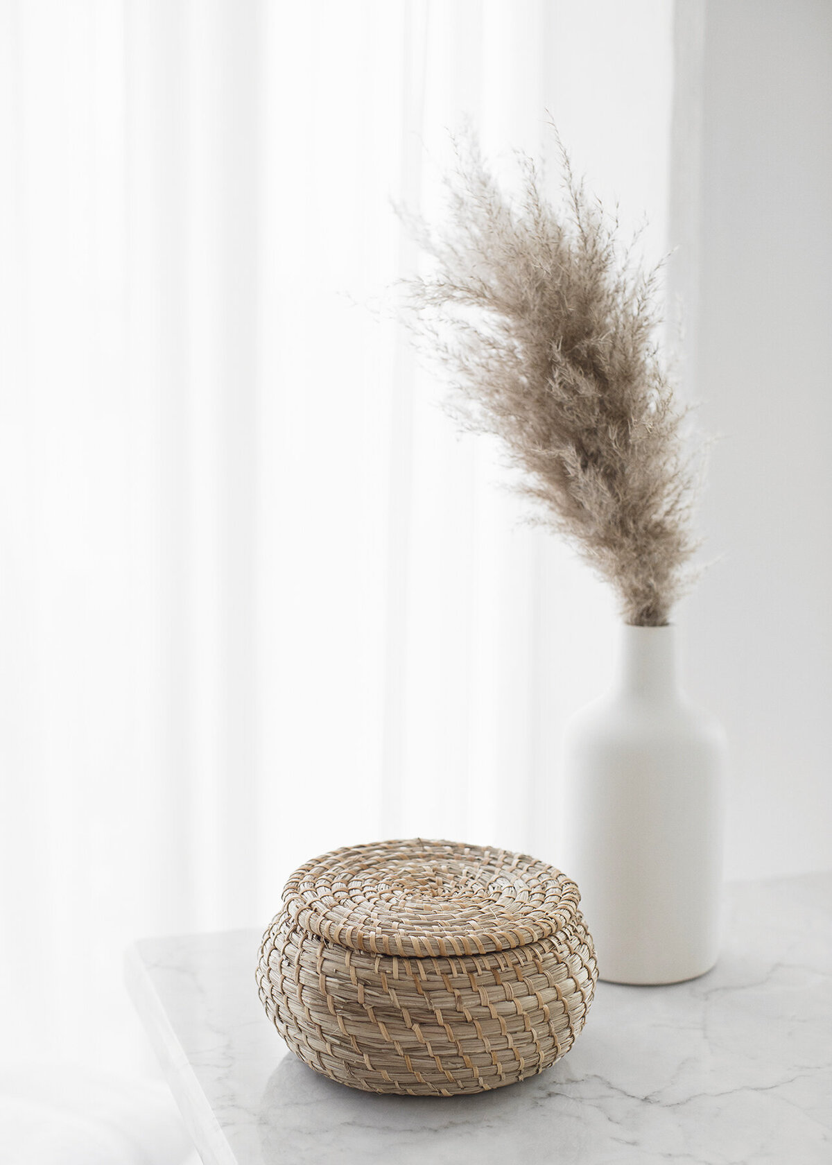 Warm_Glow_Tropical_Styled-_Stock_Image032