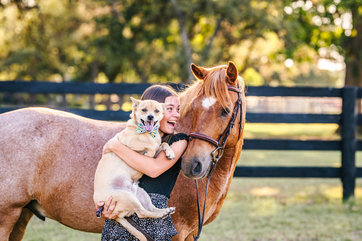Equine Photographer in North Carolina, horse photographer