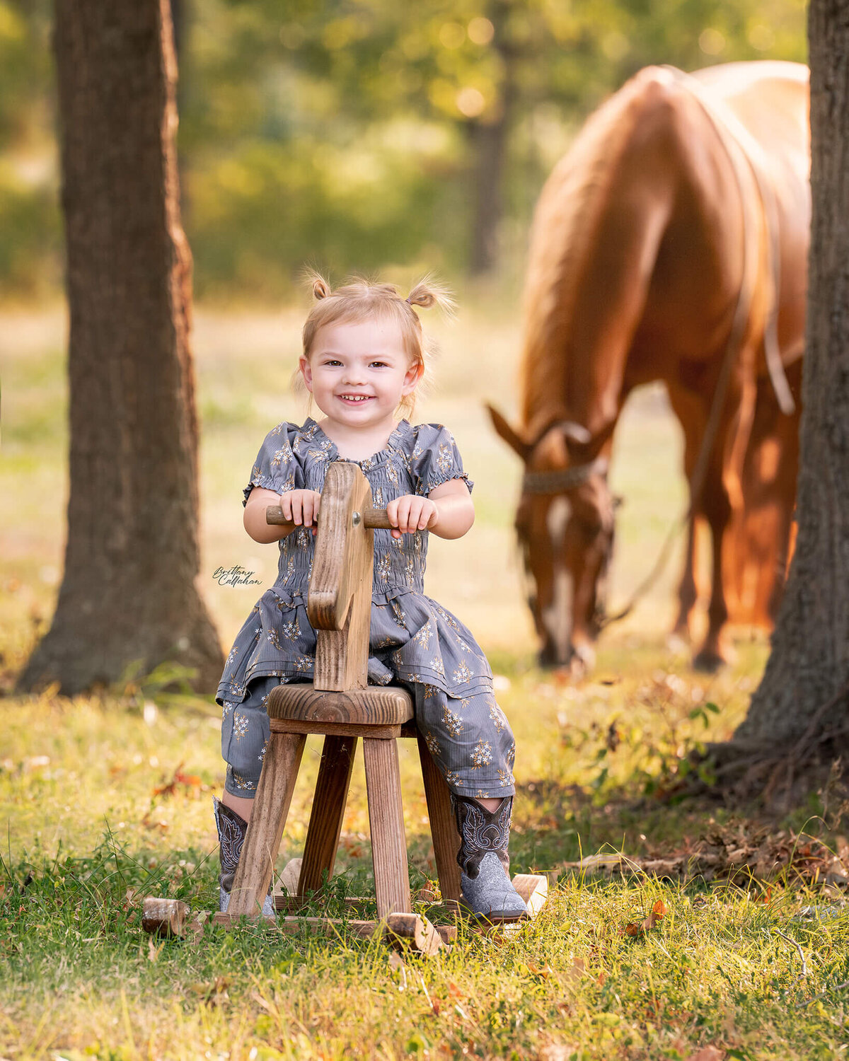 Southern-illinois-horse-photographer-#54