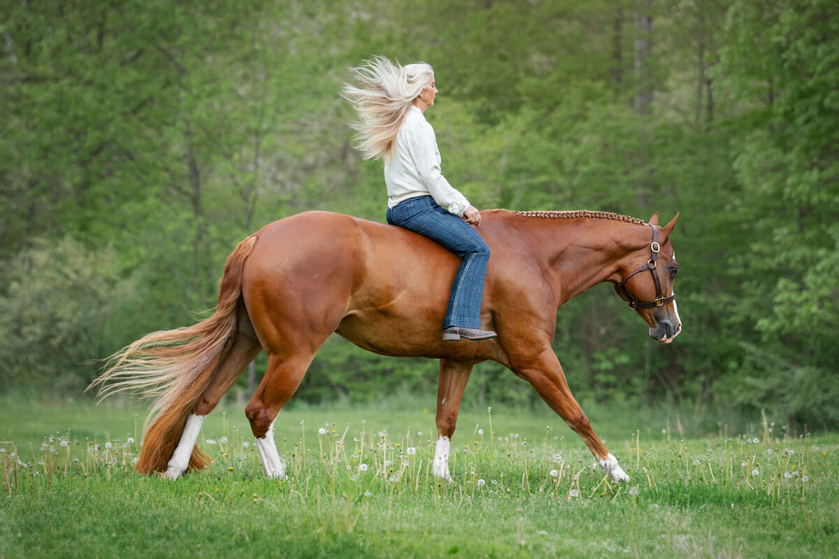 blonde equestrian woman riding her chestnut American Quarter Horse gelding without a bridle and without a saddle at a lope through a green field with trees behin