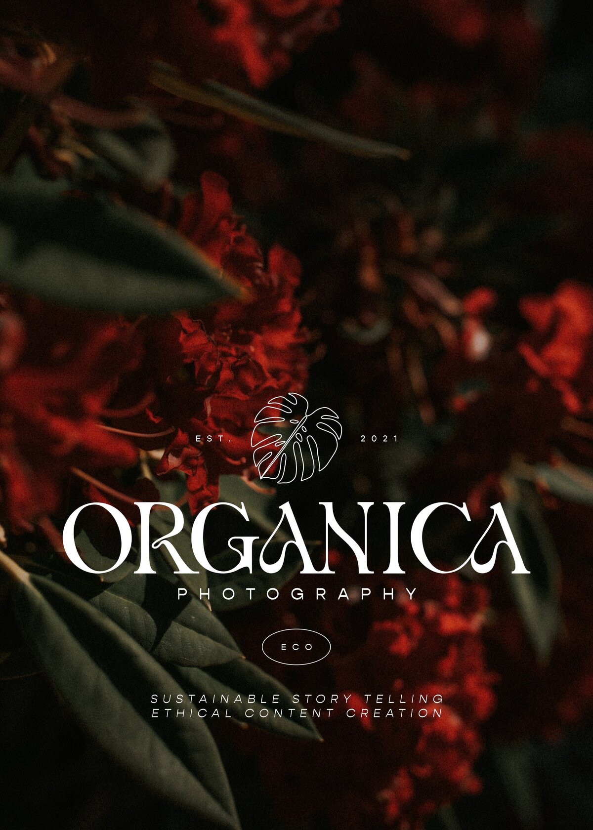 Flower-Photography-Organica(1)