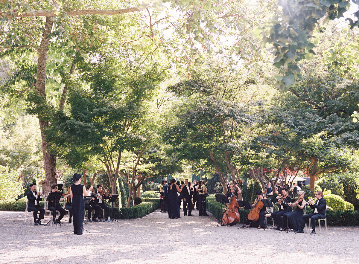 Modern-Wedding-Design-Beaulieu-Garden-Napa-Valley-Reception_127