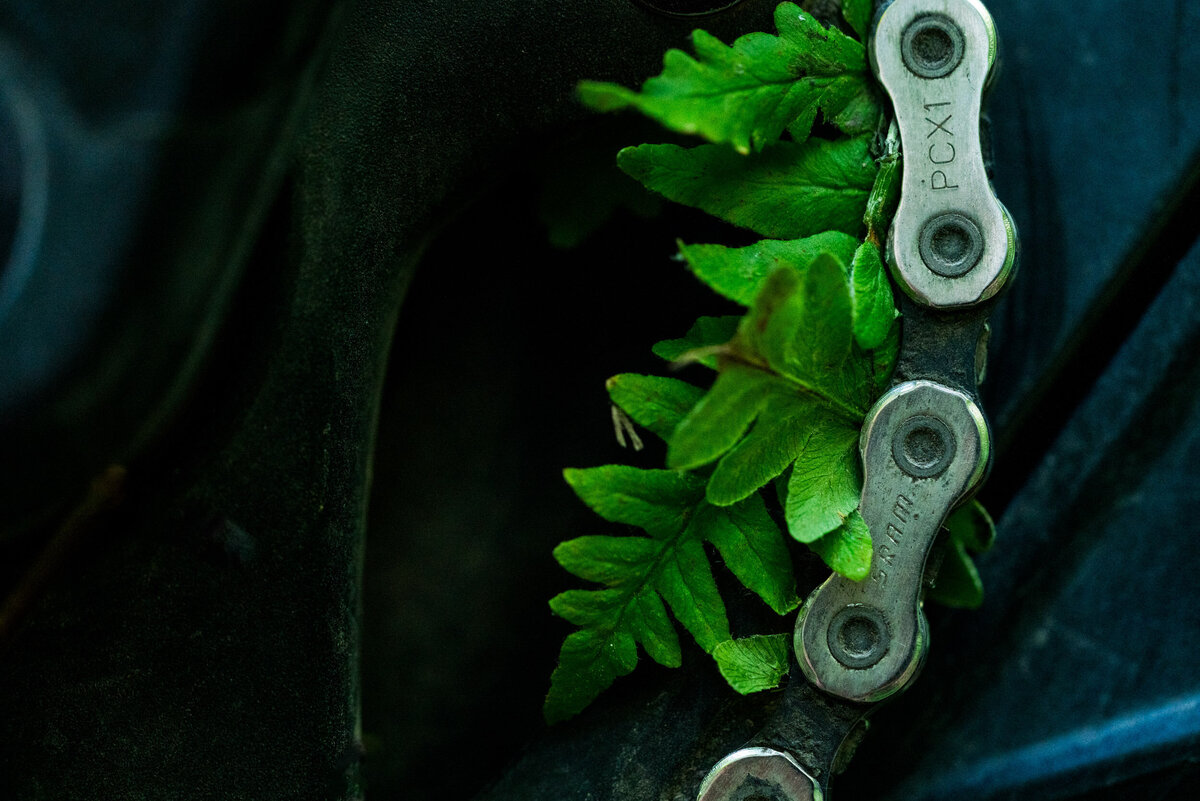 detail_mountainbike_chain_texture1