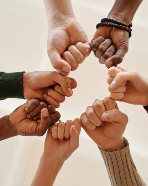 CauseAgency Social Enterprise Showit Website Template by Humankind