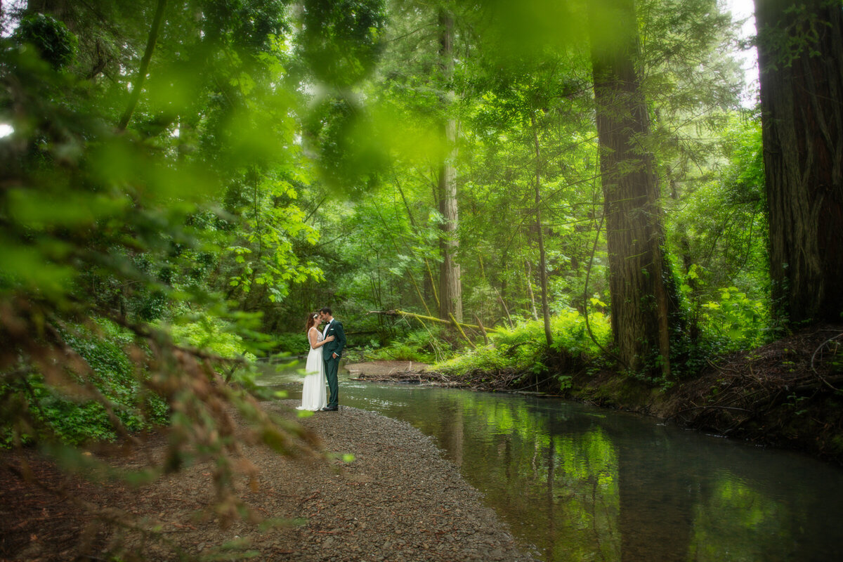 Avenue-of-the-Giants-Redwood-Forest-Elopement-Humboldt-County-Elopement-Photographer-Parky's Pics-4