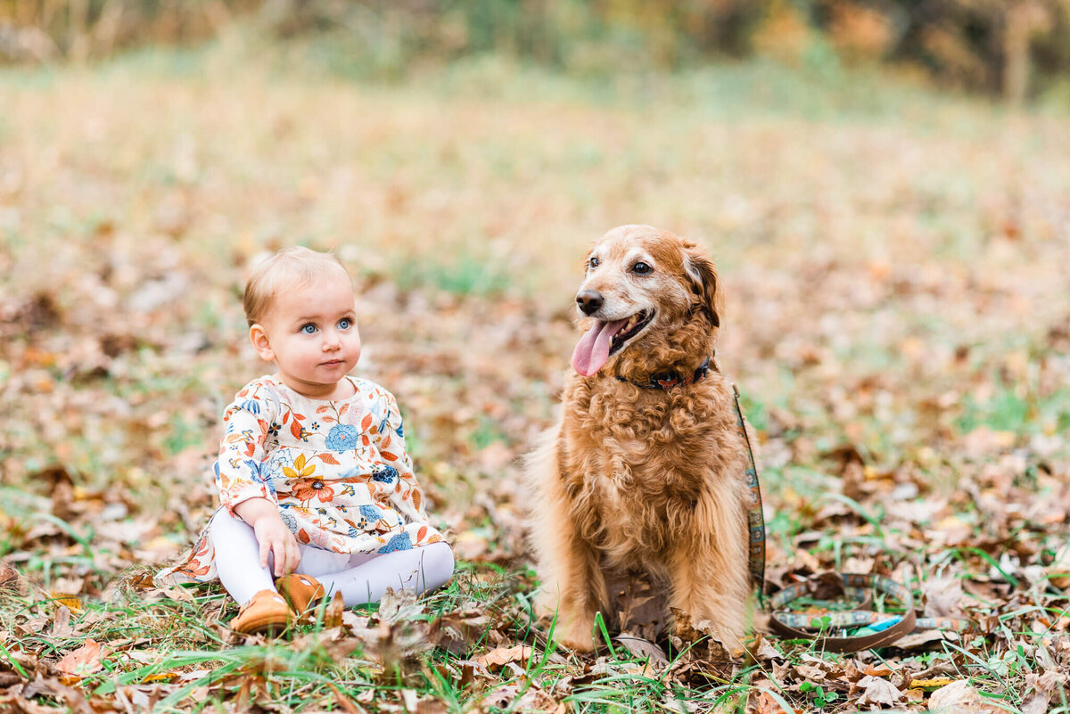 female toddler wearing floral dress sitting next to her dog during family session in Northern Virginia
