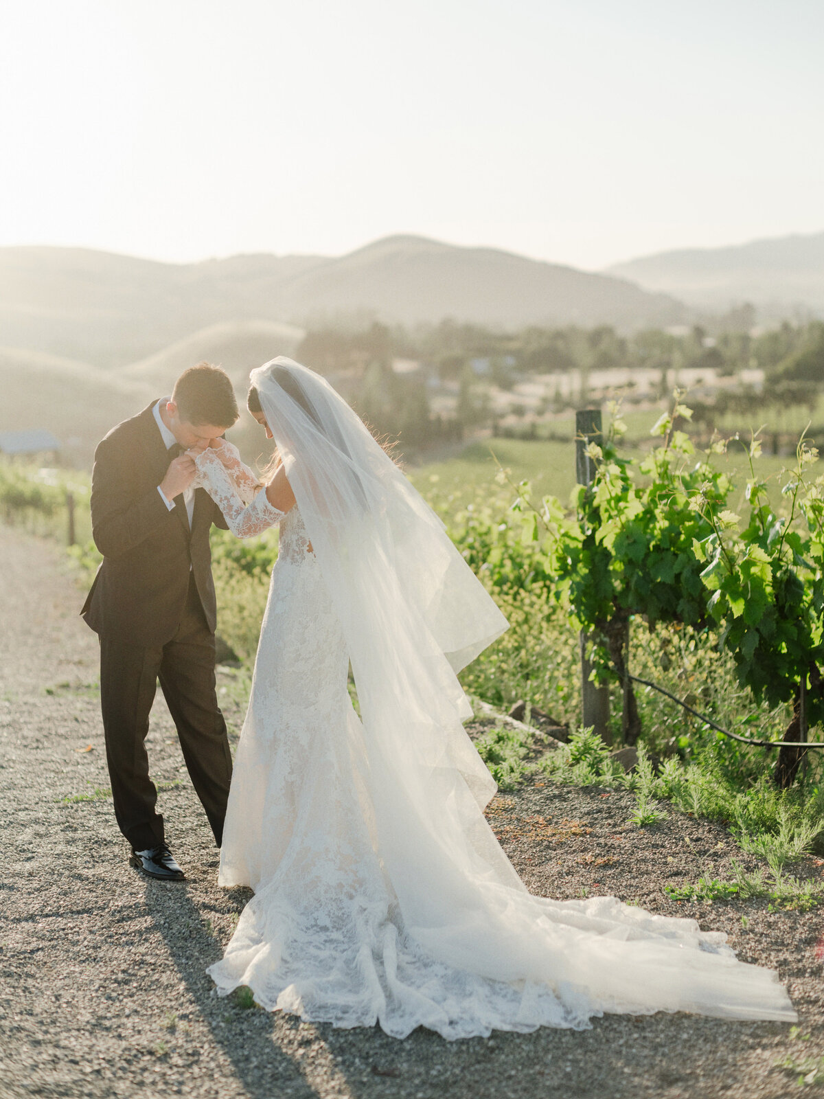 Ashley + John Viansa Sonoma Winery Wedding Cassie Valente Photography 517
