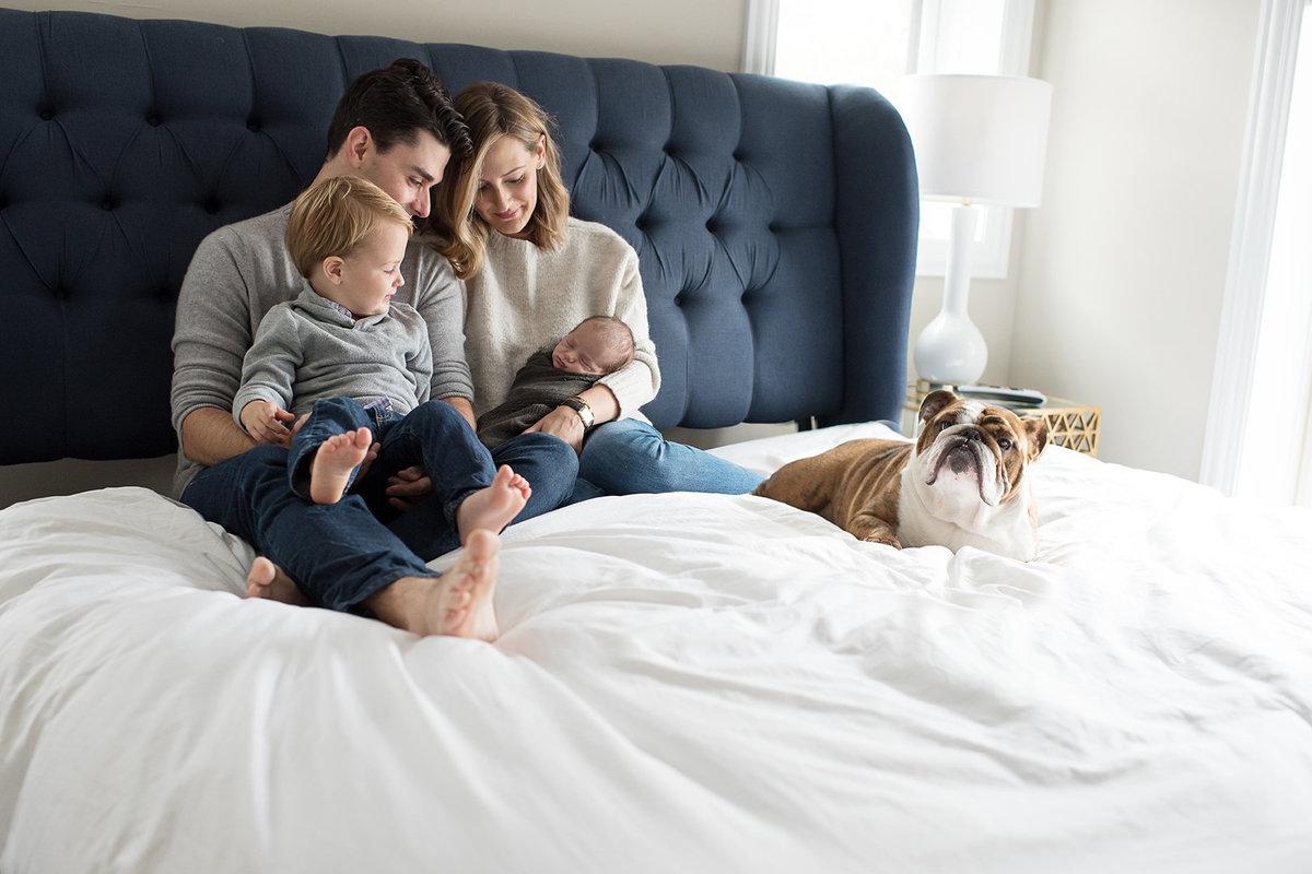 a family poses on their bed for a picture with the dog