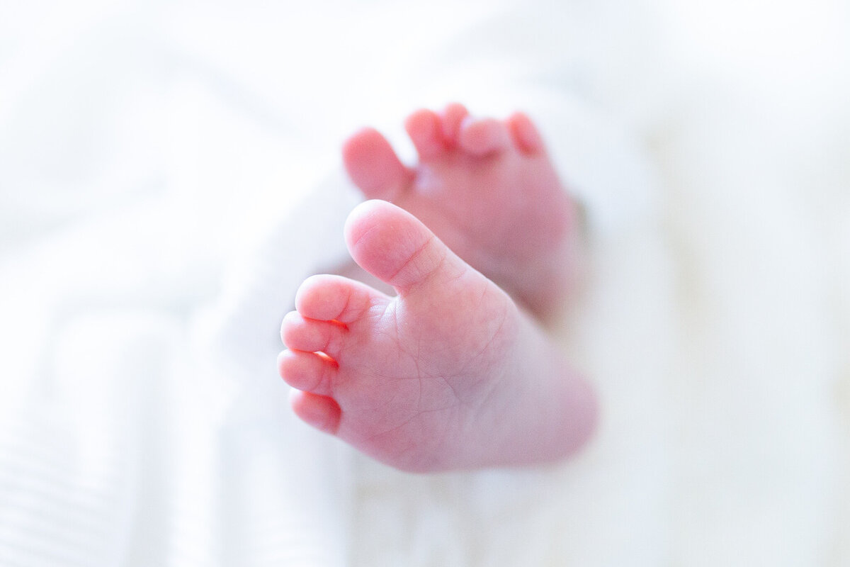 newborn photos birmingham alabama