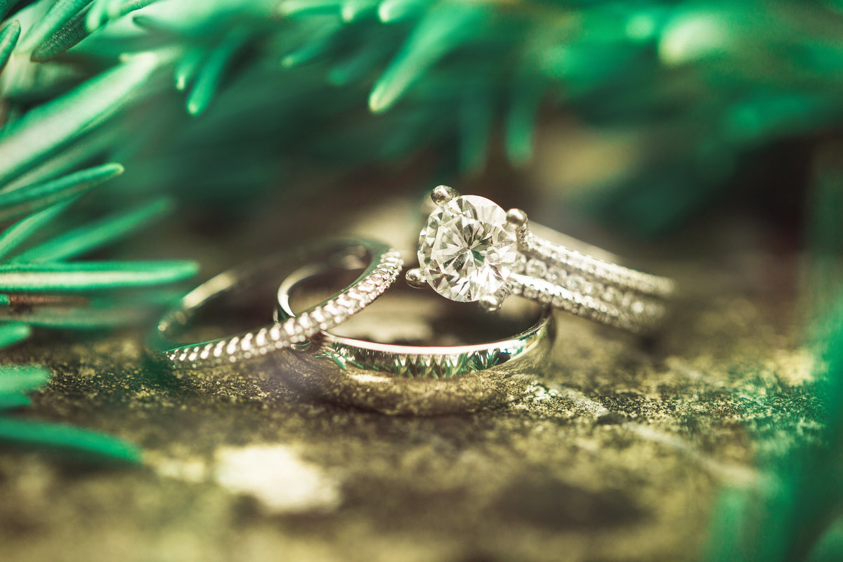 Photography of Wedding Rings