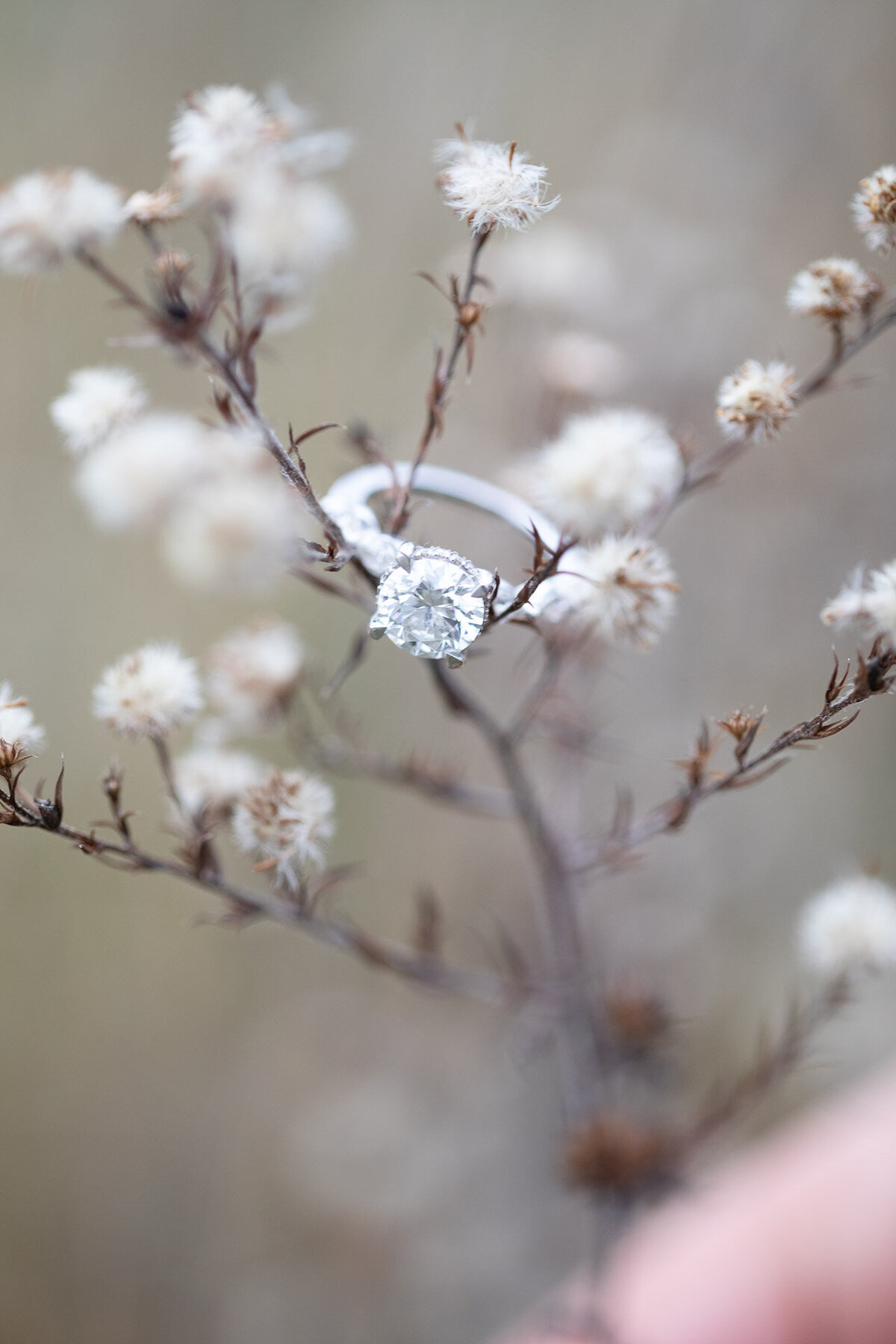 Ring Engagements_by Blush Wood (1 of 1)