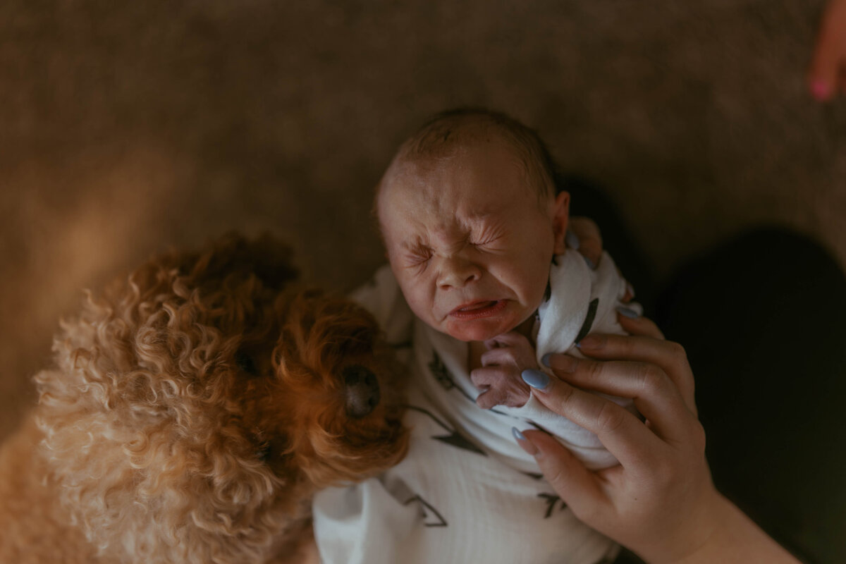 Utah-Newborn-Photography- (7)