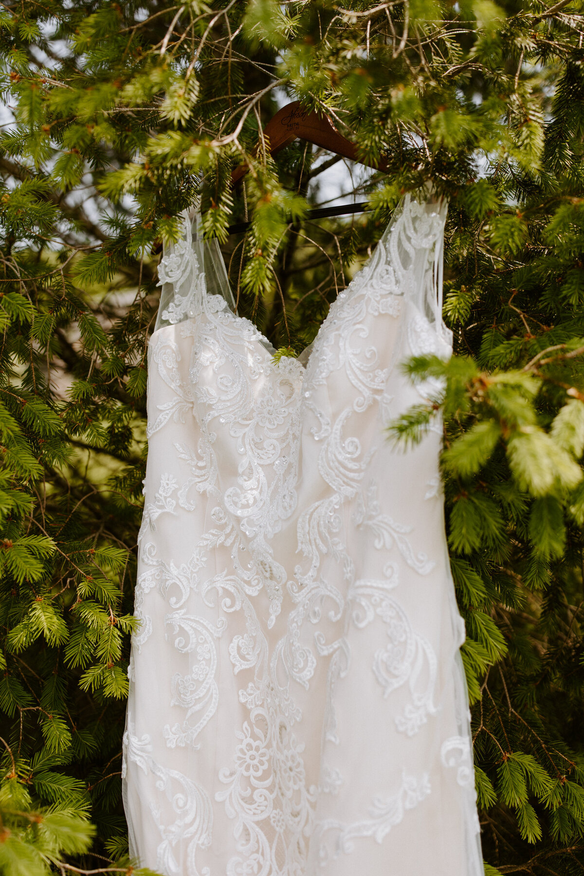 wedding dress hanging from branches in a tree