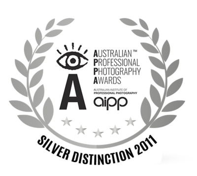 download-2 download-2