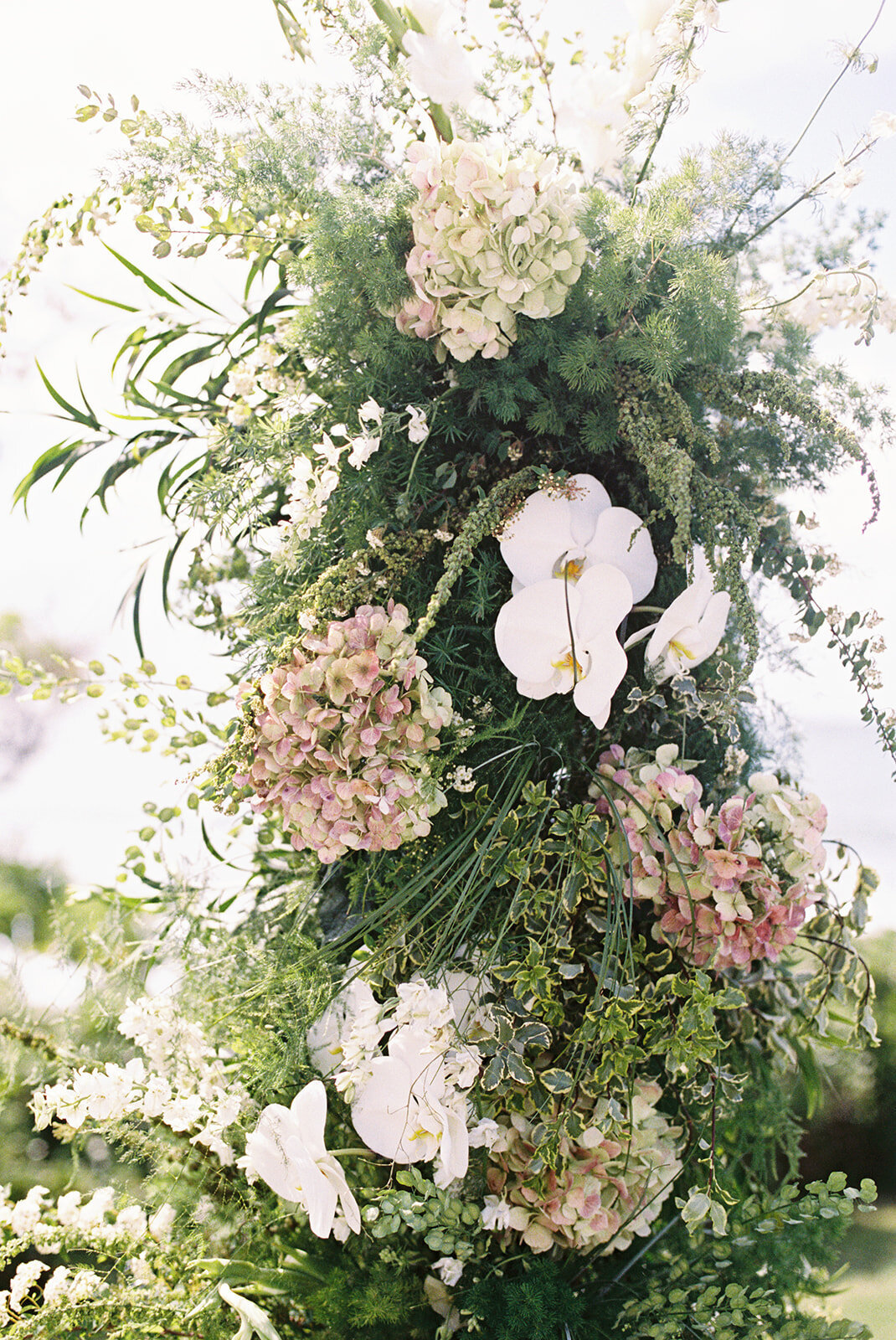 tiff.chris.film.emily-choy-photography-235