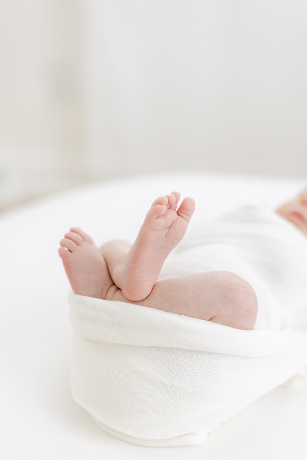 Perpetua Seidenberg- Newborn Session- Tara Federico Photography-108