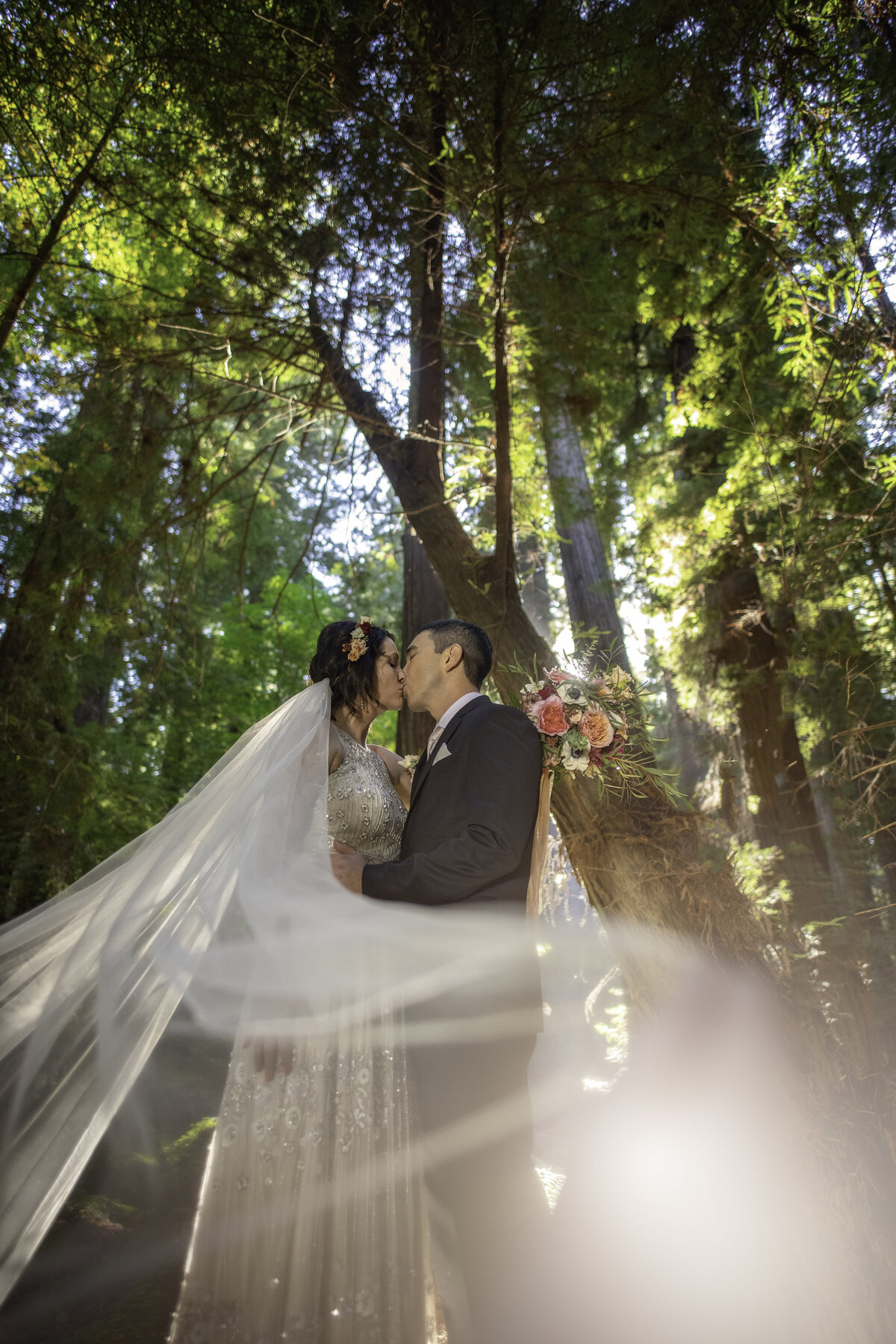 Redway-California-elopement-photographer-Parky's-Pics-Photography-redwoods-elopement-Avenue-of-the-Giants-Pepperwood-California-05.jpg