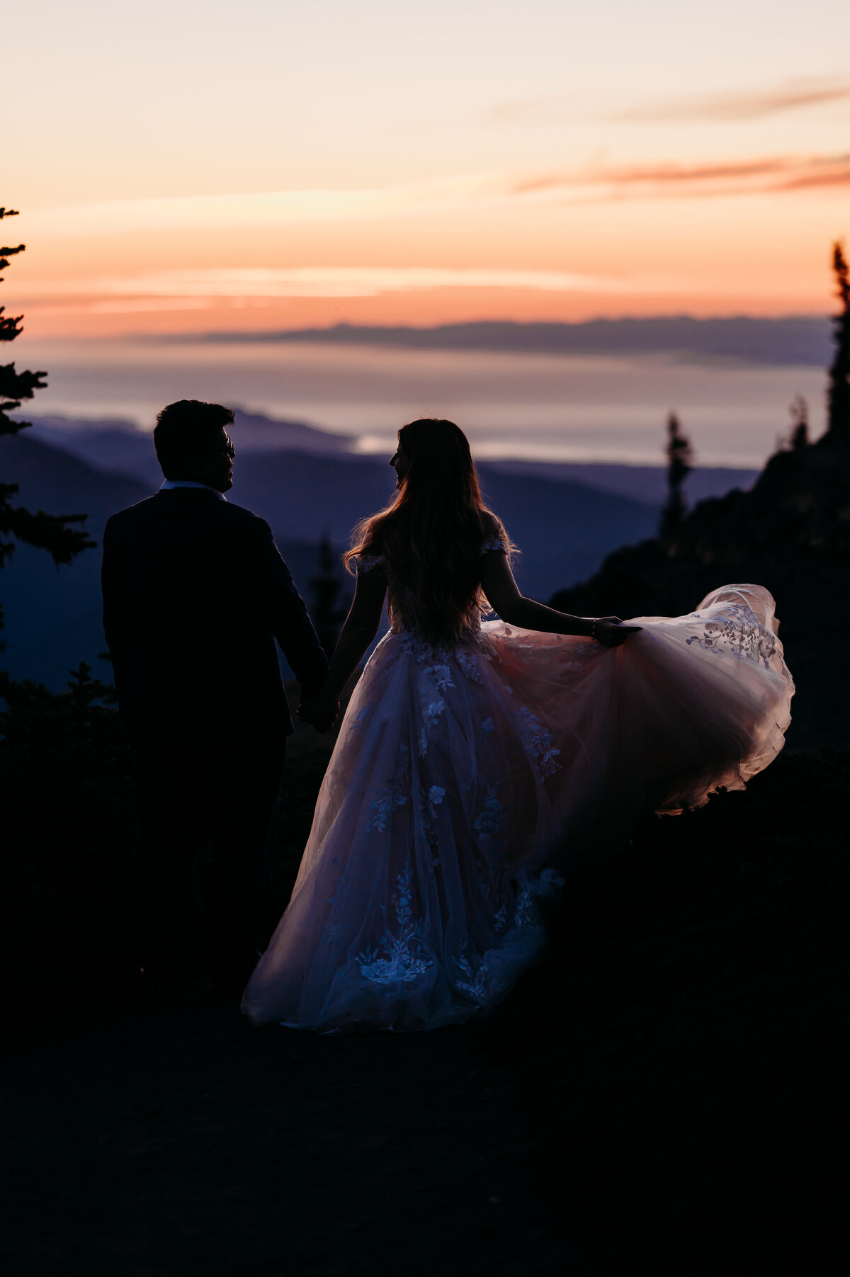 Olympic National Park Washington State Hurricane Ridge Wedding and Elopement Photographer