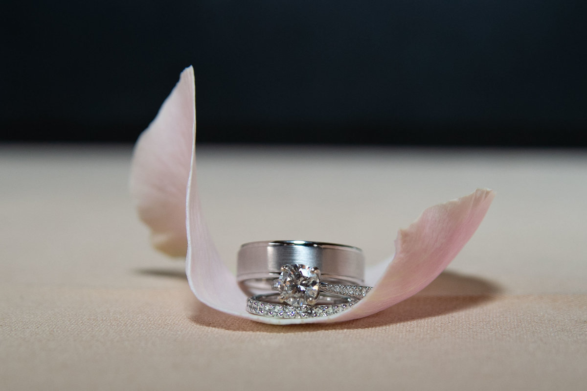 pink rose petal closeup with rings