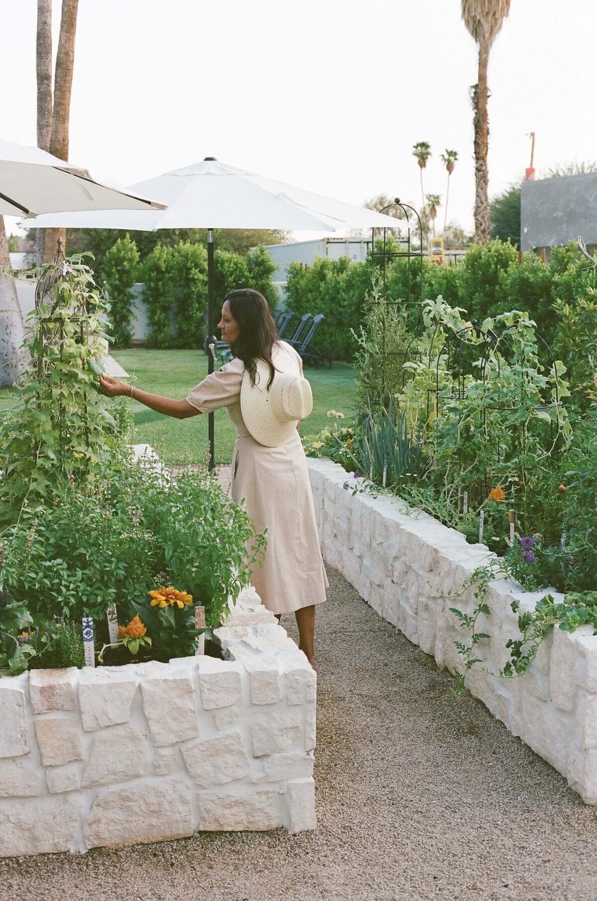 Garden-Raised-Beds-Hacienda