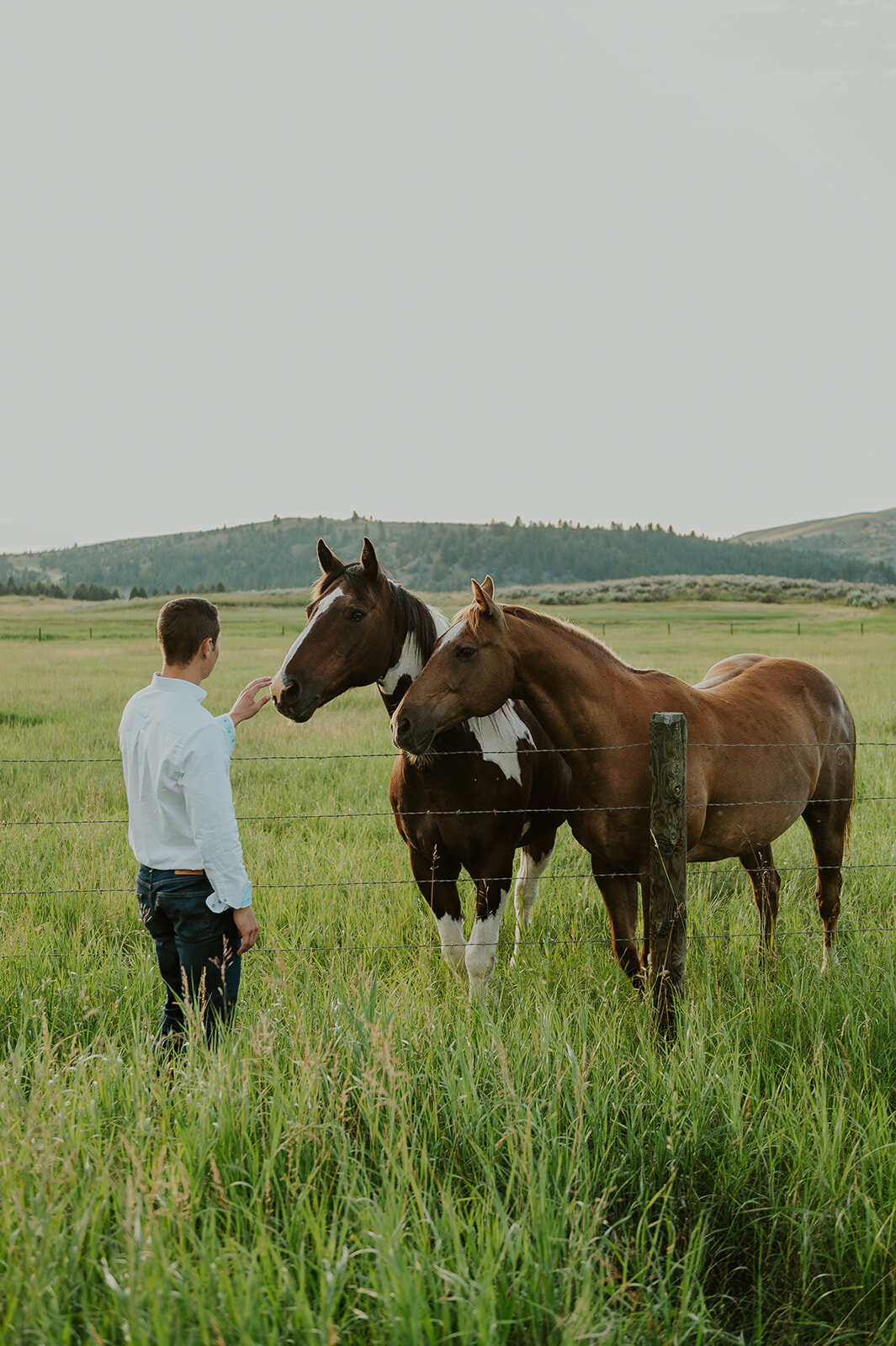 presley-gray-horse-pasture-engagement8746