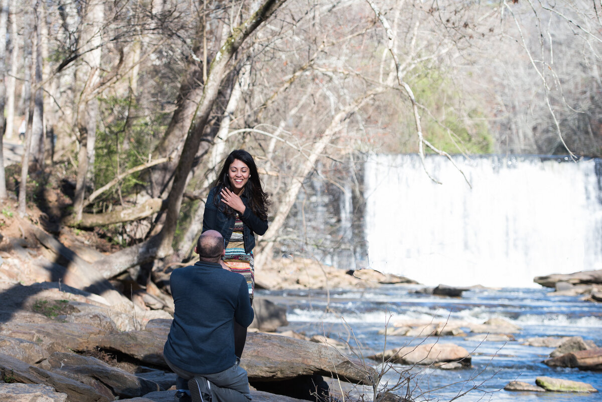 David and Jakleen Proposal Pictures-8
