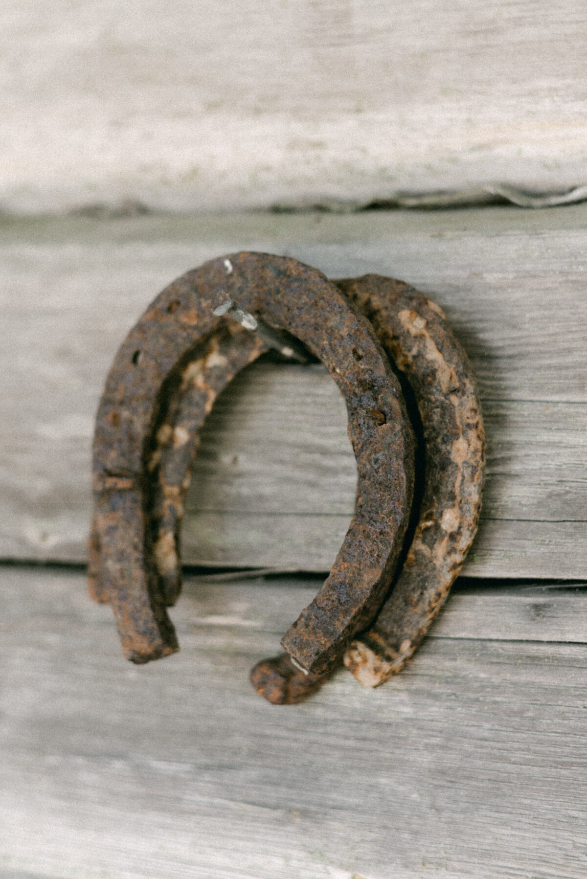 Horseshoes hanging on the wall. An image by wedding photographer Hannika Gabrielsson.