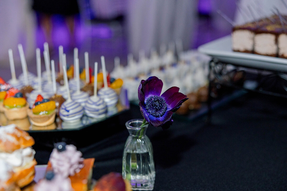 Eliana-Melmed-Photography-Chicago-LosAngeles-Jewish-WeddingPhotography-ElianaSklar-DanceFloor-00294