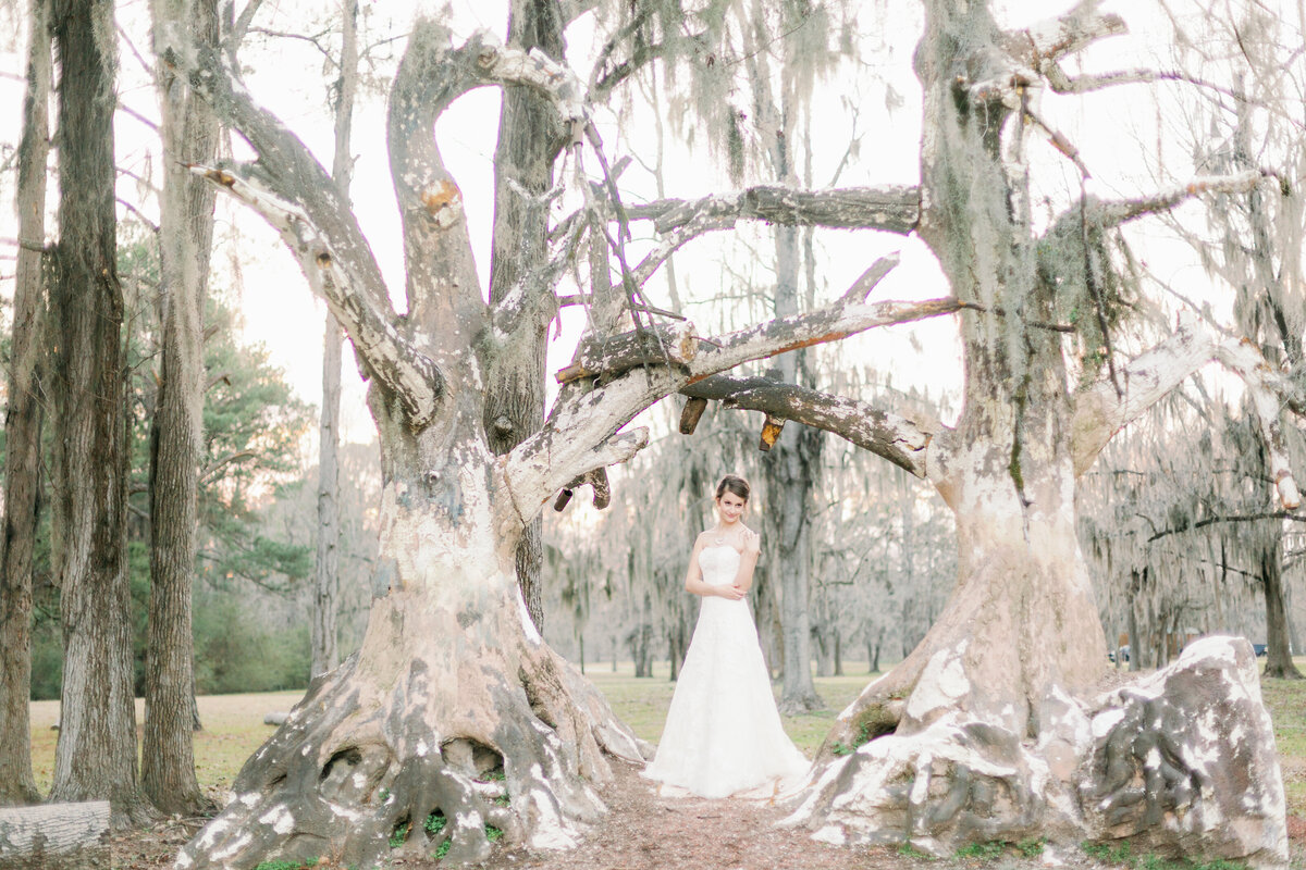 charlotte-wedding-photography-megan-pitts00003