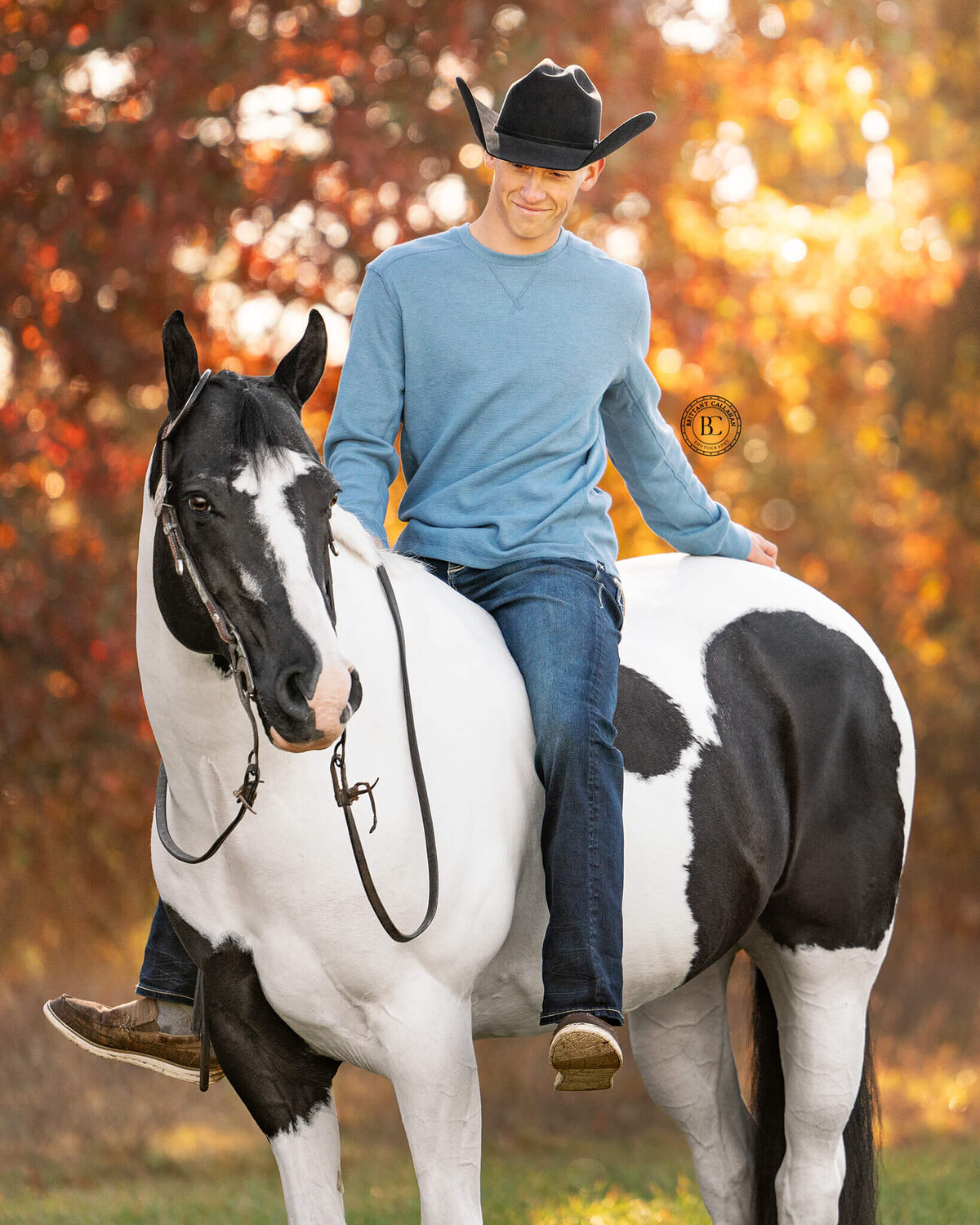 Southern-illinois-horse-photographer-#41