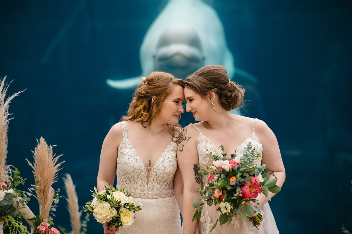 two brides tip their heads together while standing in front of juno the beluga whale at mystic aquarium wedding