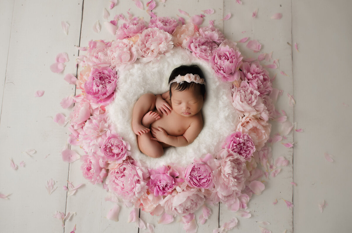 Newborn-Photographer-Photography-Vaughan-Maple-6-8