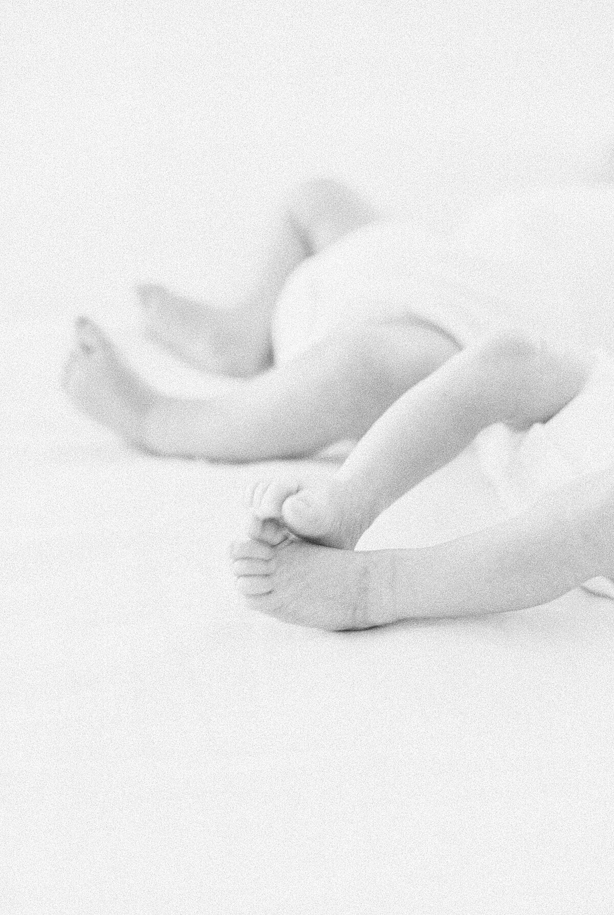 charleston-baby-photographer-twin-newborn-session-caitlyn-motycka-photography_0045