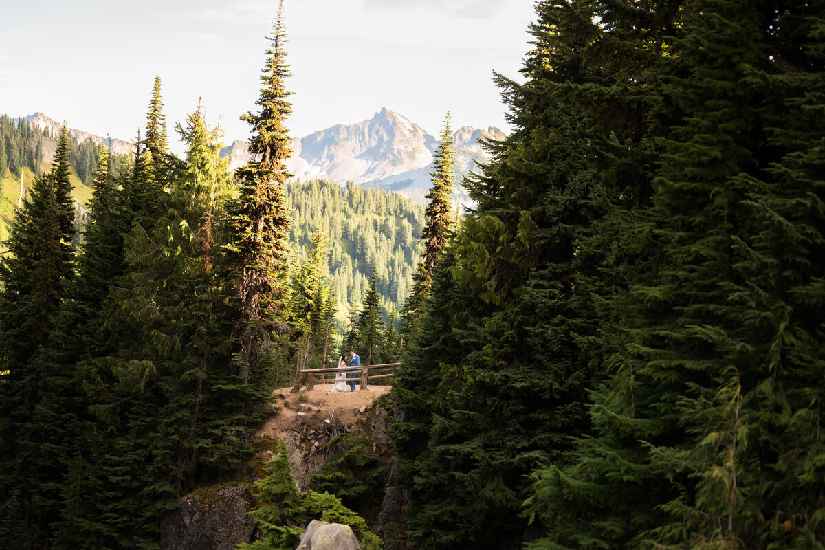 Mt Rainier National Park Elopement Photographer