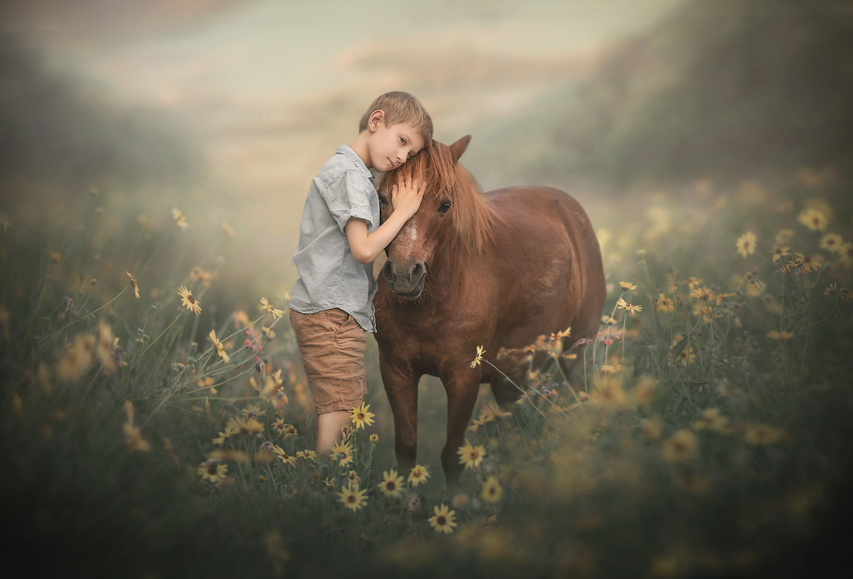 young child embracing his horse during an outdoor Photography session / Sonia Gourlie Fine Art Photography / Ottawa Ontario
