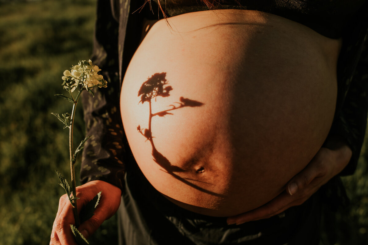 close up photograph of pregnancy belly with flower reflecting shadow on womb