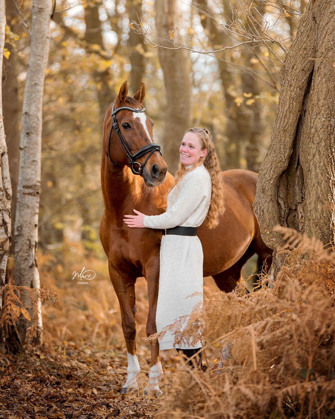 paardenfotograaf friesland (13)