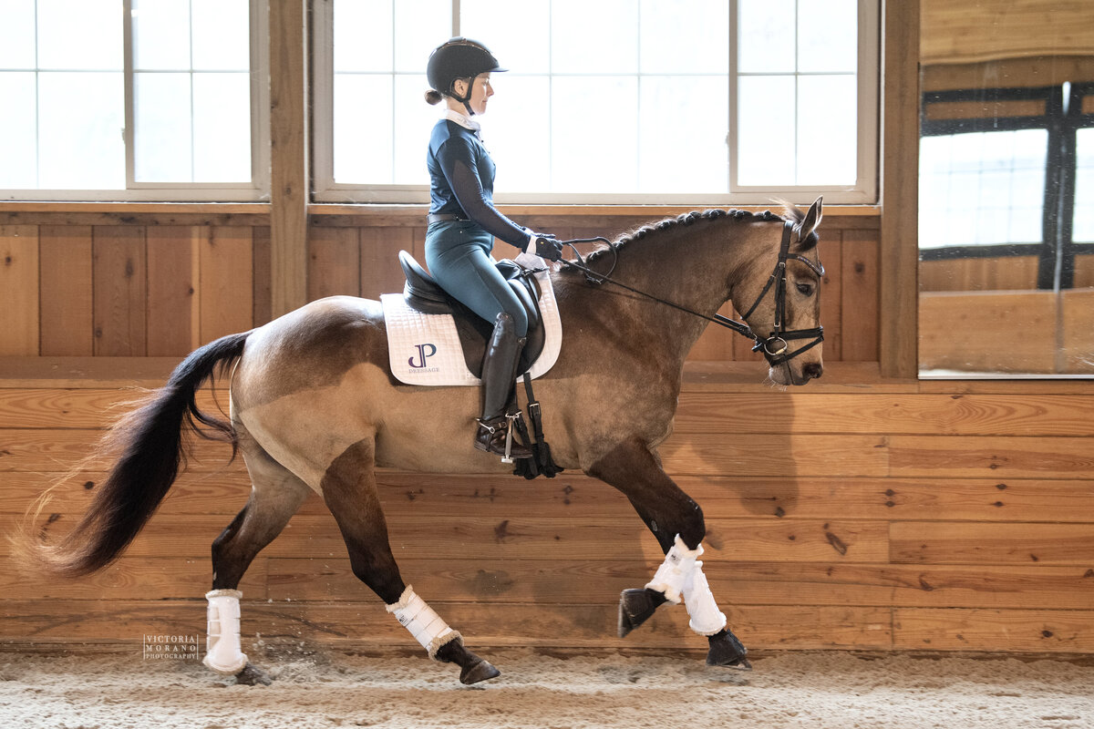 Kynynmont Keaton JP Dressage Right Canter Profile